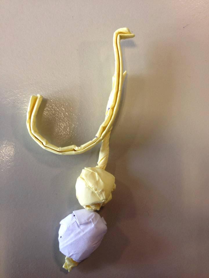 Crap de sete!!! :)  - 9431353709720896689931560638716n.jpg